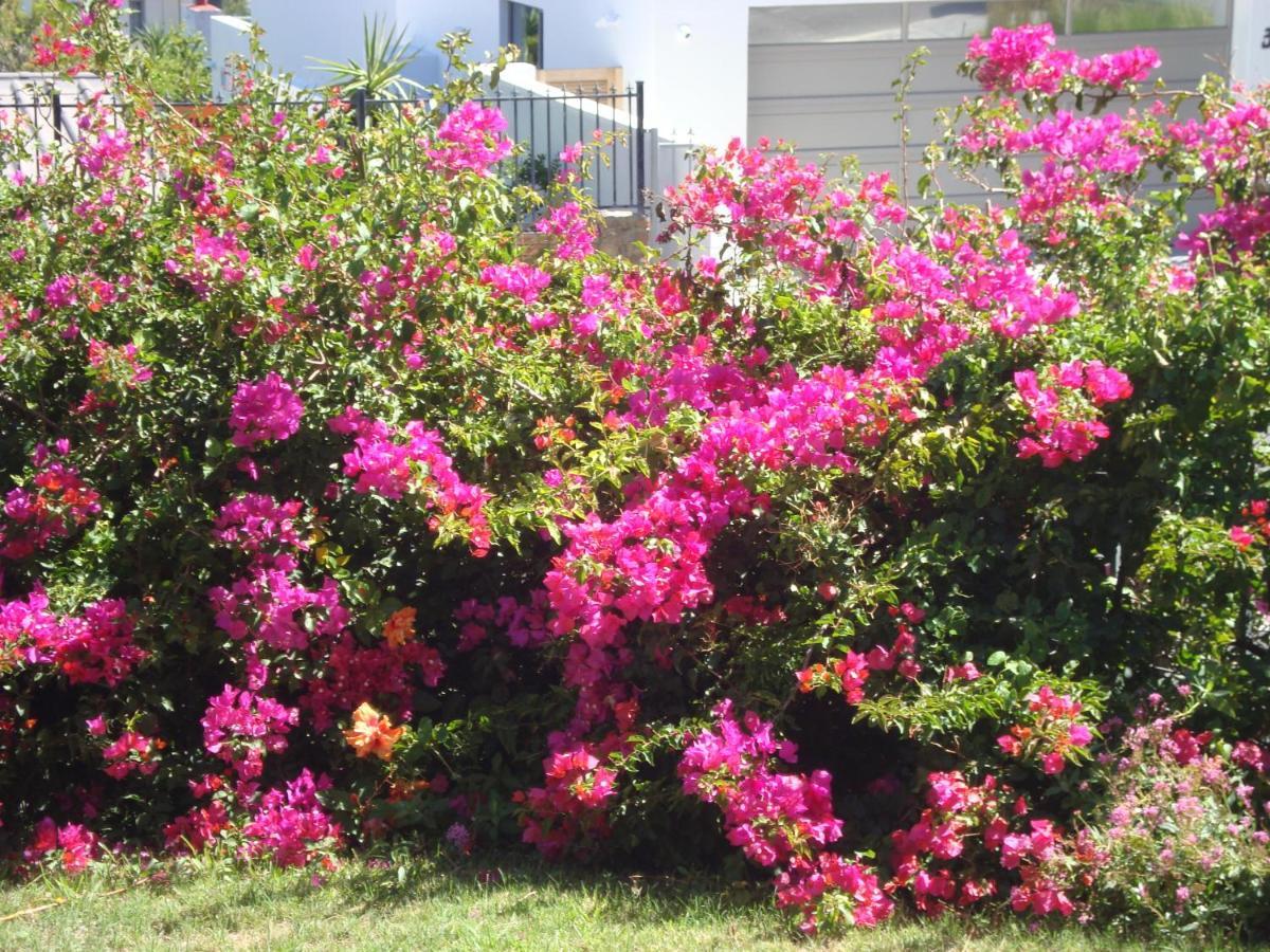 קייפטאון Marie'S Self-Catering Accomodation מראה חיצוני תמונה